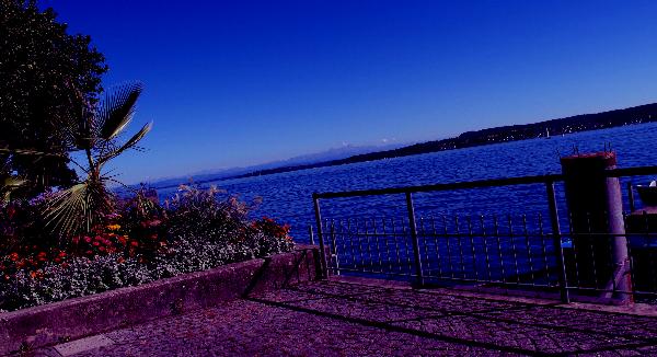 Bodensee-Bild vor der Bearbeitung